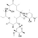 Erythromycin