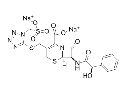 Cefonicid sodium for Injection