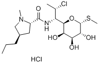 CLINDAMYCIN HCL