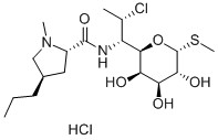 CLINDAMYCIN HCL