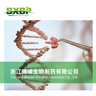 盐酸右美托咪定Dexmedetomidine Hydrochloride|CAS NO.:145108-58-3|EP/USP|manufacturer