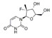 2'-deoxy-2'-fluoro-2'-C-methyluridine