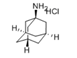 Amantadine Hydrochloride