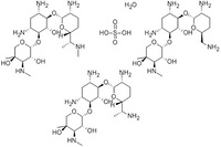 Gentamycin sulfat