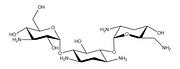 Tobramycin