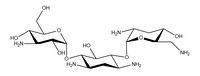 Tobramycin