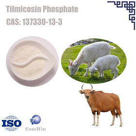 Tilmicosin Phosphate