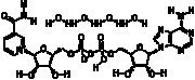 β-Nicotinamide adenine dinucleotide