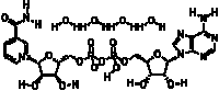 β-Nicotinamide adenine dinucleotide