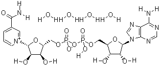 β-Nicotinamide adenine dinucleotide