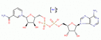 dihydronicotinamide-adenine dinucleotide, disodium salt