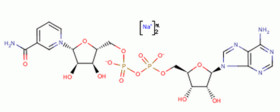 dihydronicotinamide-adenine dinucleotide, disodium salt