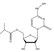 Molnupiravir