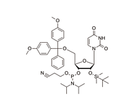 DMT-2'-O-TBDMS-U-CE-Phosphoramidite