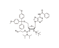 DMT-2'-O-TBDMS-A(Bz)-CE-Phosphoramidite
