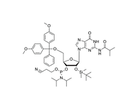 DMT-2'-O-TBDMS-G(iBu)-CE-Phosphoramidite