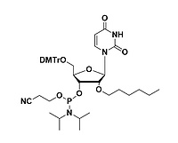 2'-O-C6 Uridine Phosphoramidite