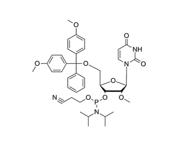 2'-OMe-U-CE-Phosphoramidite