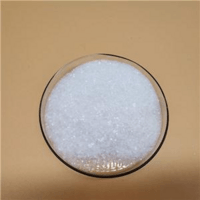 Procaine Hydrochloride