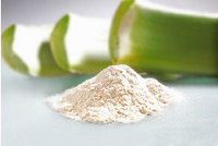 Organic / Aloe Vera Gel Freeze Dried Powder