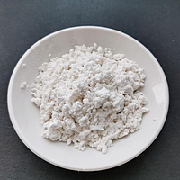 N-PropylsulfaMide Sodium Salt