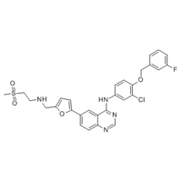 Lapatinib (GW572016)