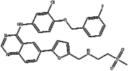 Lapatinib