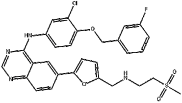 Lapatinib