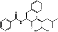 Bortezomib