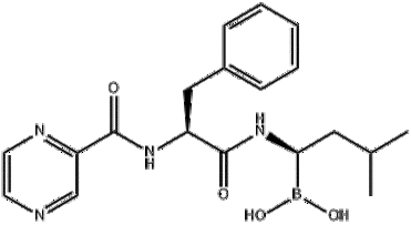 Bortezomib