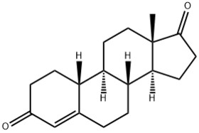 Intermediates-Norandrostenedione