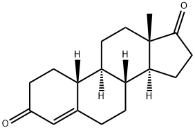 Intermediates-Norandrostenedione