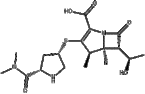 Meropenem