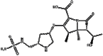 Doripenem