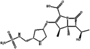 Doripenem