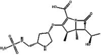 Doripenem