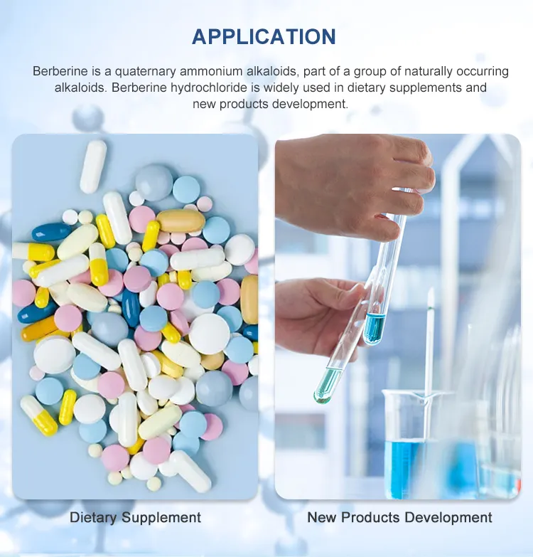 Support third party test 98% Berberine HCL  633-65-8  
