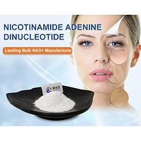 Support third party test NAD+  53-84-9 Nicotinamide Adenine Dinucleotide