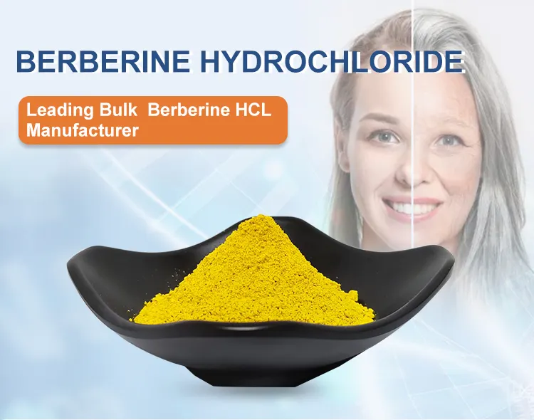 Support third party test 98% Berberine HCL  633-65-8  