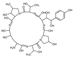 Echinocandin B