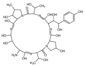 Echinocandin B