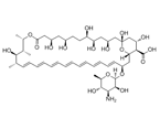 Amphotericin B