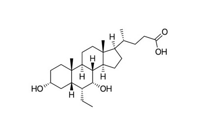 Obeticholic Acid