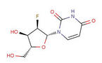 2'-Fluoro-2'-Deoxyuridine