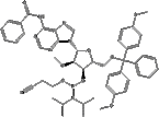 DMT-2-O-ME-A-CE Phosphoramidite