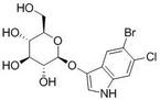 5-bromo-6-chloro-3-indolyl-β-D-glucopyranoside