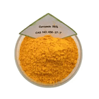 Curcumin Powder Extract