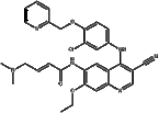 Neratinib (HKI-272)