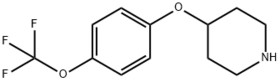 4-[4-(TrifluoroMethoxy)phenoxy]piperidine