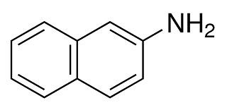 2-Aminonaphthalene
